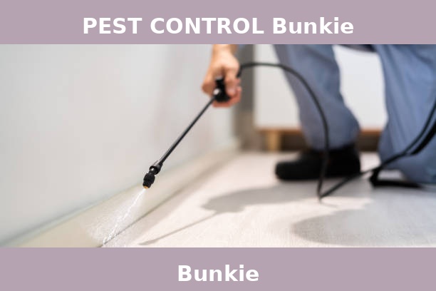 PEST CONTROL Bunkie